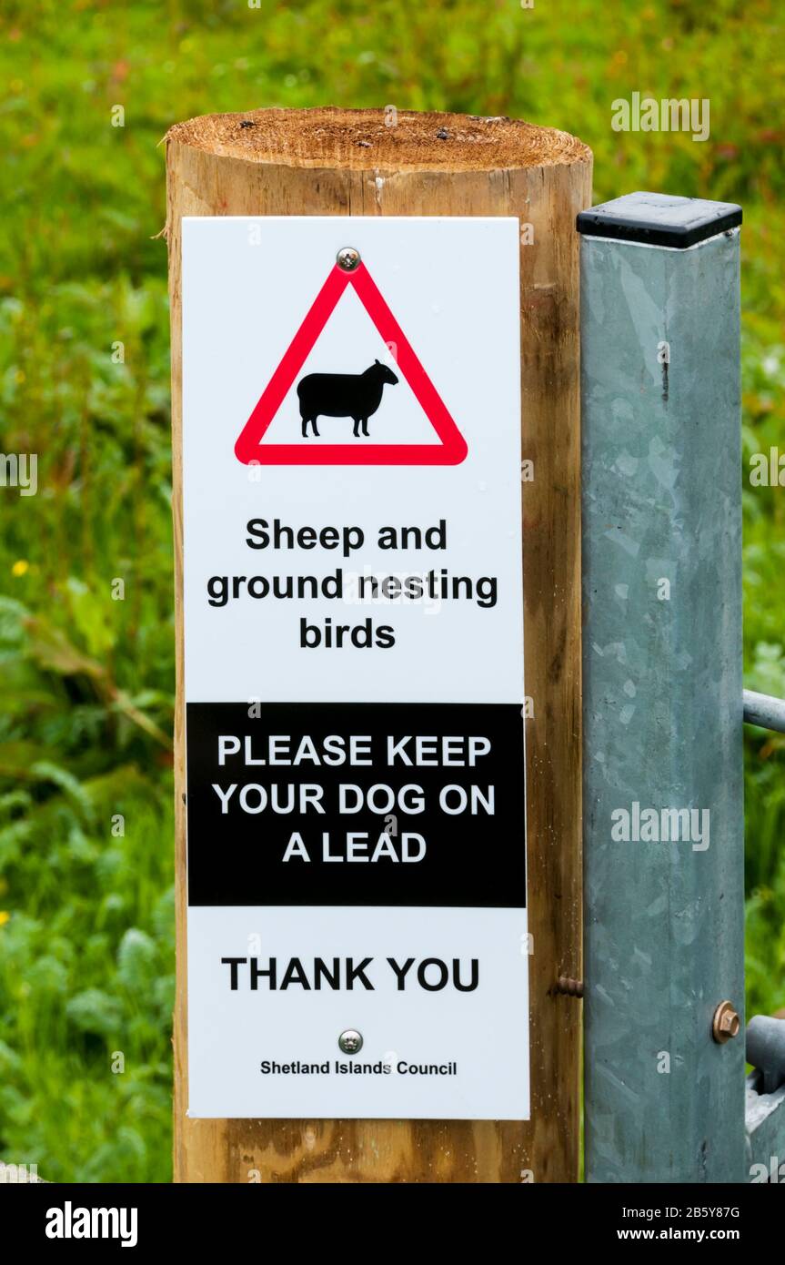 Ein Schild in Shetland bittet die Menschen, ihren Hund wegen Schafen und gemahlenen Nistvögel auf einer Leine zu halten. Stockfoto