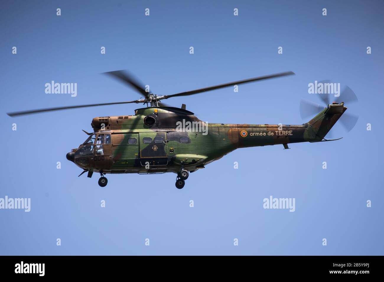 Armée de Terre Aérospatiale SA 330 Puma '000', NATO Tiger Meet 2017, BAN Landivisiau Stockfoto