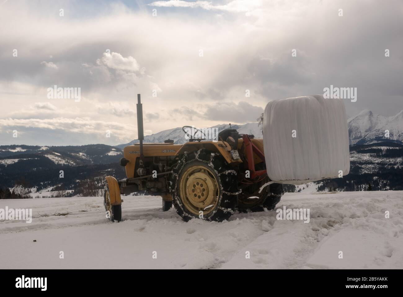 Landschlepper "Ursus" C330 während der Arbeit in der Winterlandschaft. Tatra, Polen Stockfoto