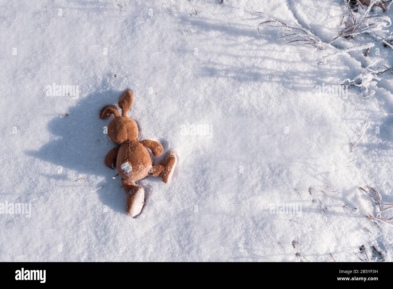 Ein verlassenes oder verlorenes Efeu-Bunny-Spielzeug liegt auf dem Schnee. Copyspace. Kinder verlieren und werfen Spielzeug. Allegorie, Trennung, Einsamkeit und Tod. Emotionen. C Stockfoto