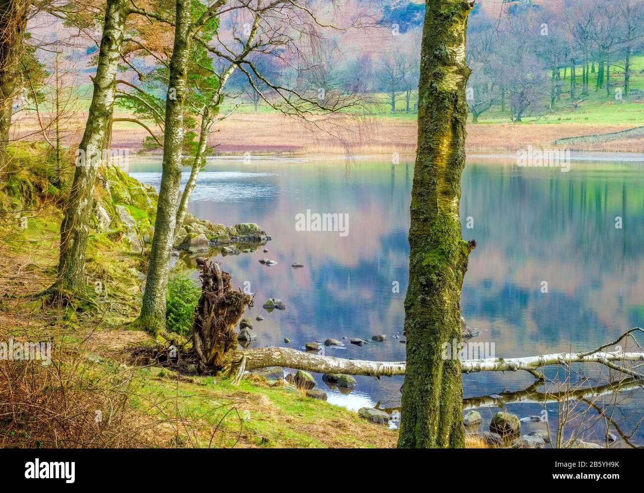 Blea Tarn an einem ruhigen Wintermorgen in der Nähe von Langdale im Lake District National Park, Cumbria, Großbritannien Stockfoto