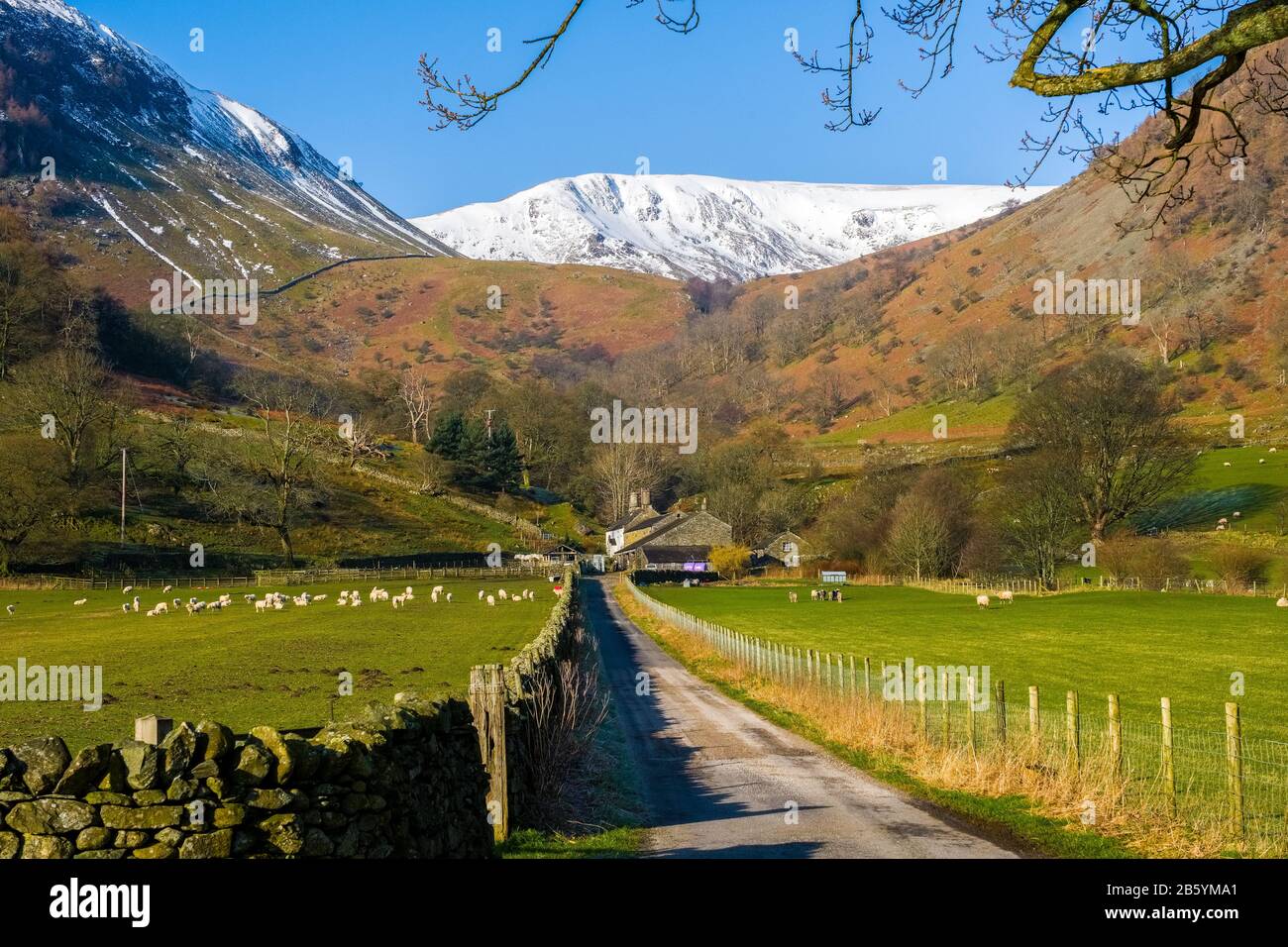 Eine Lake District Farm mit einem schneebedeckten Berg jenseits, Ullswater, Lake District National Park, Cumbria, Großbritannien Stockfoto