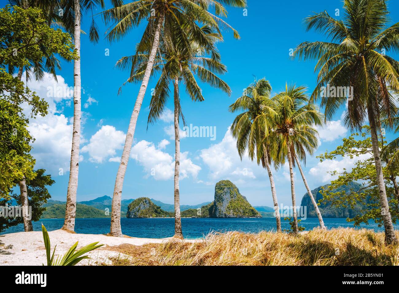 Feriensaison. Palawan berühmteste Touristenattraktionen. Palmen und einsames Insel-Hopping-Ausflugsboot am Ipil Strand des tropischen Pinagbuyutan, P Stockfoto
