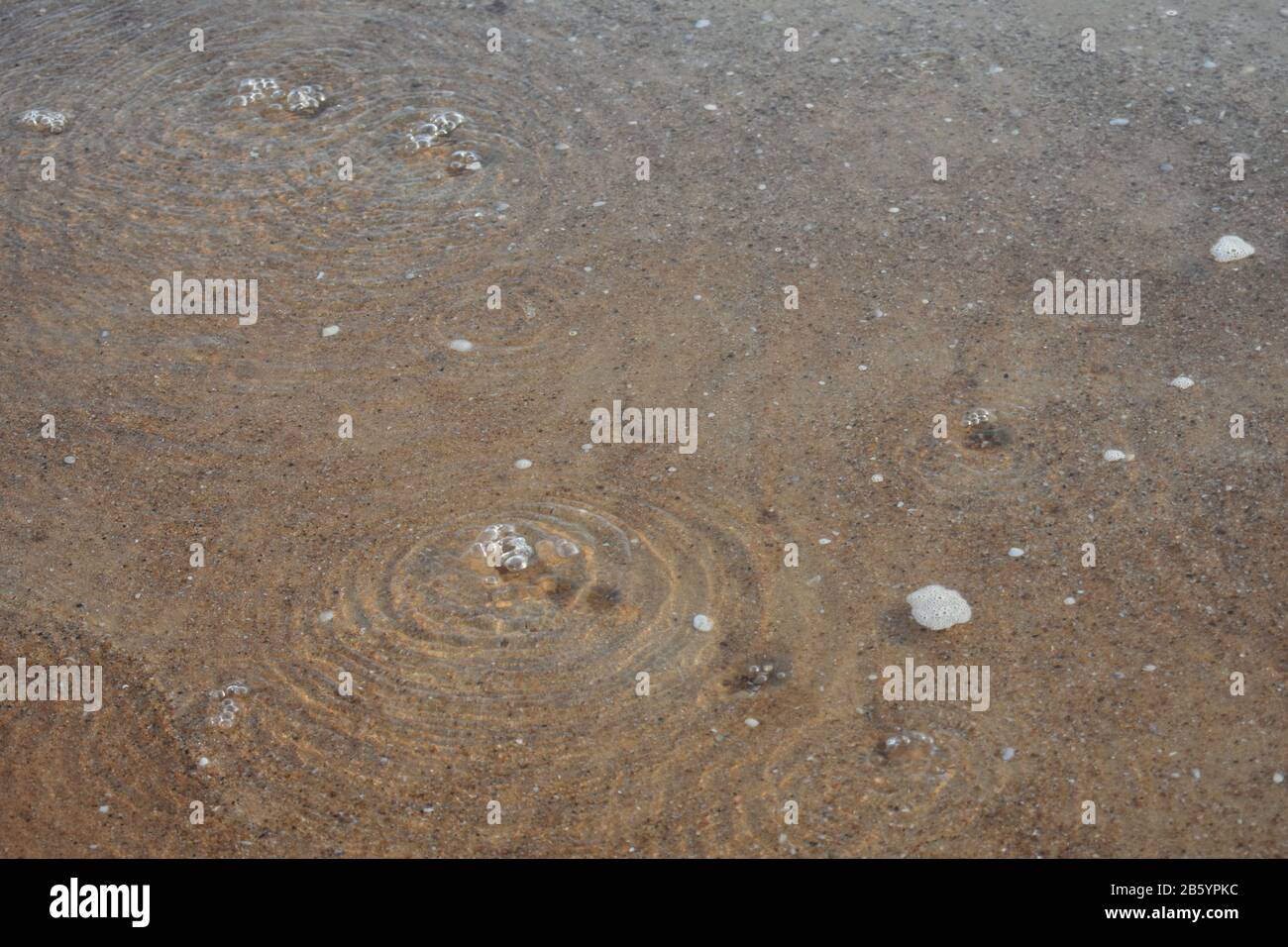 Aus dem Sand austretende Blase aus Krabbenlöchern Stockfoto