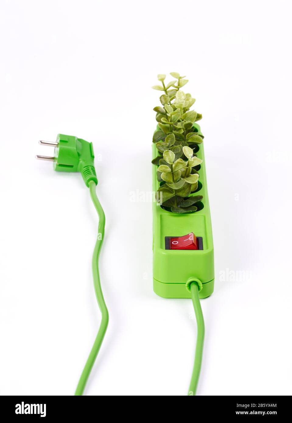 Steckdose mit grünen Pflanzen auf weißem Hintergrund Stockfoto