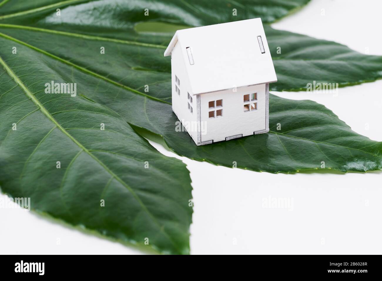 Konzept des umweltfreundlichen Hauses auf grünem Blatt Stockfoto