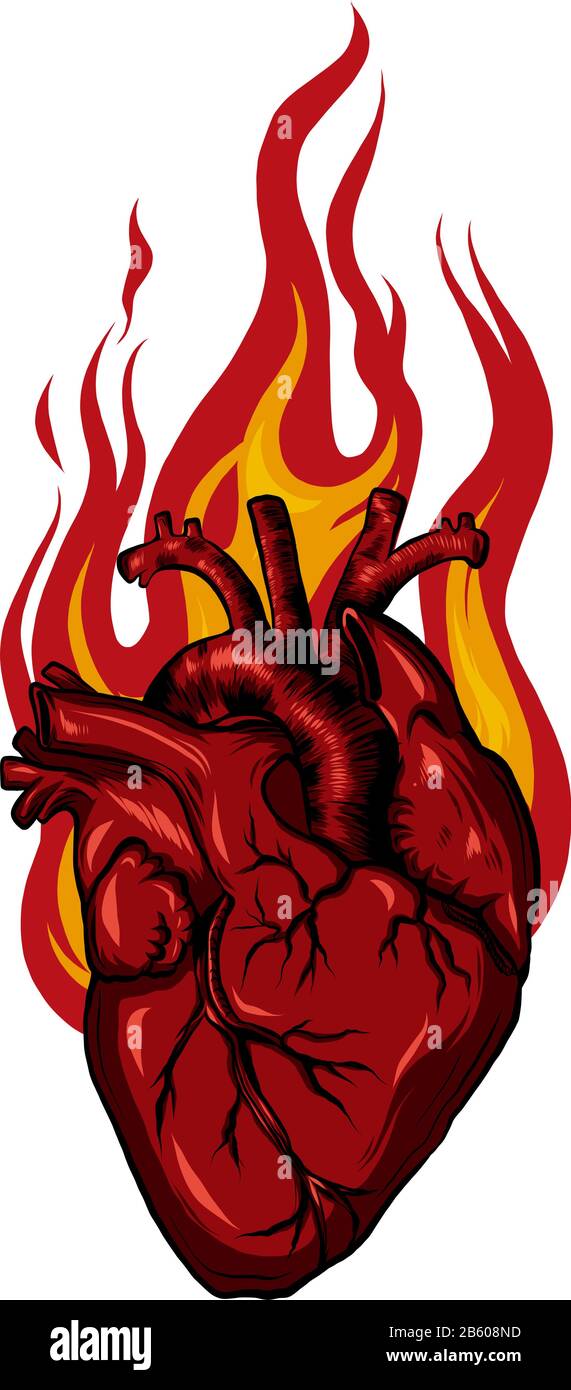 Burning fire heart illustration Fotos und Bildmaterial in hoher