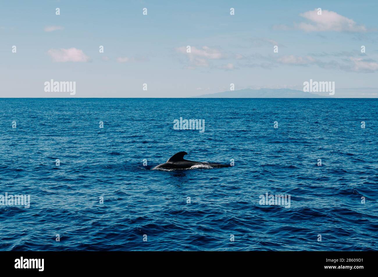 Pilot was im Atlantik vor der Küste von La Gomera, mit El Hierro am Horizont Stockfoto