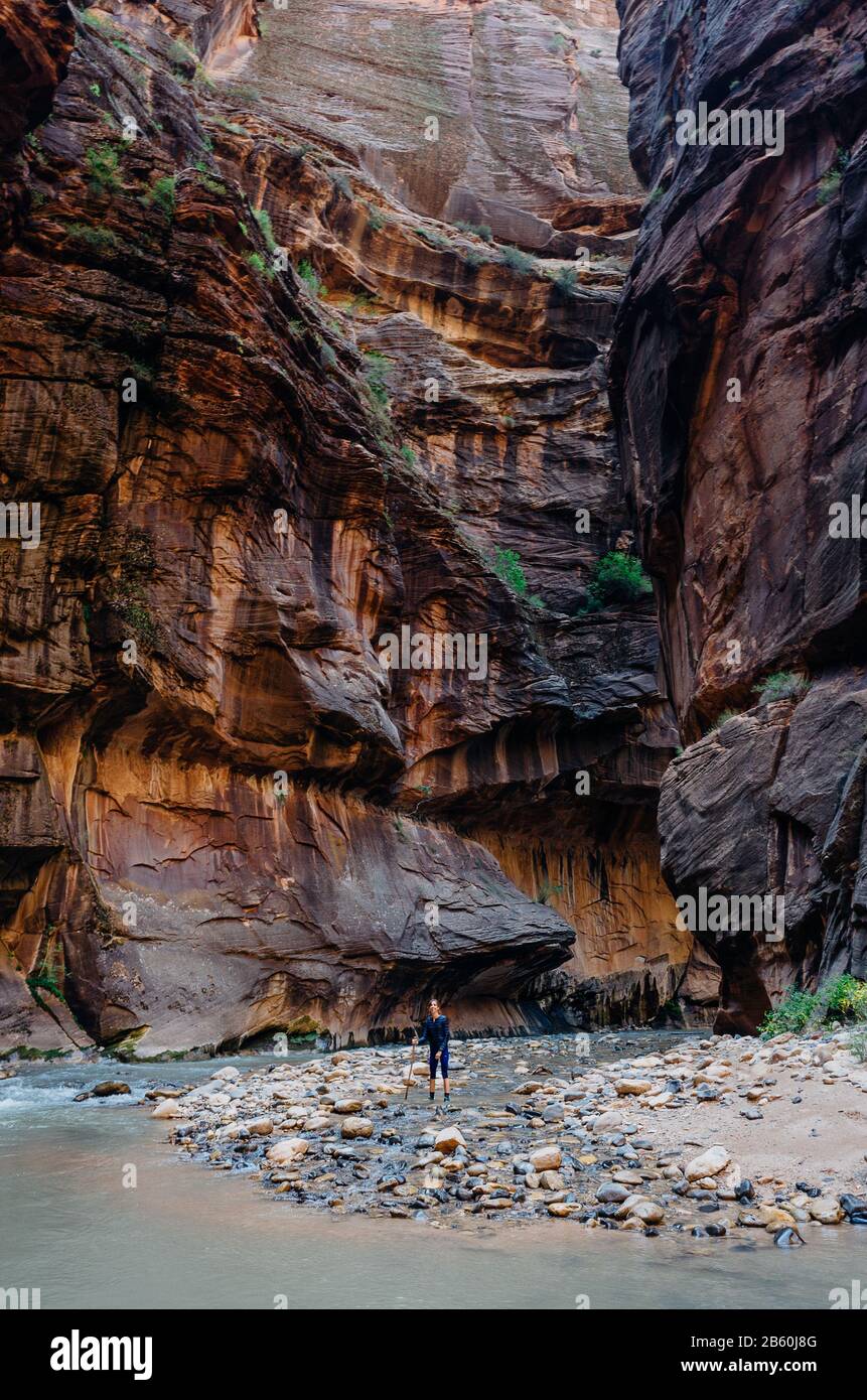 Zion Nationalpark, Utah Stockfoto