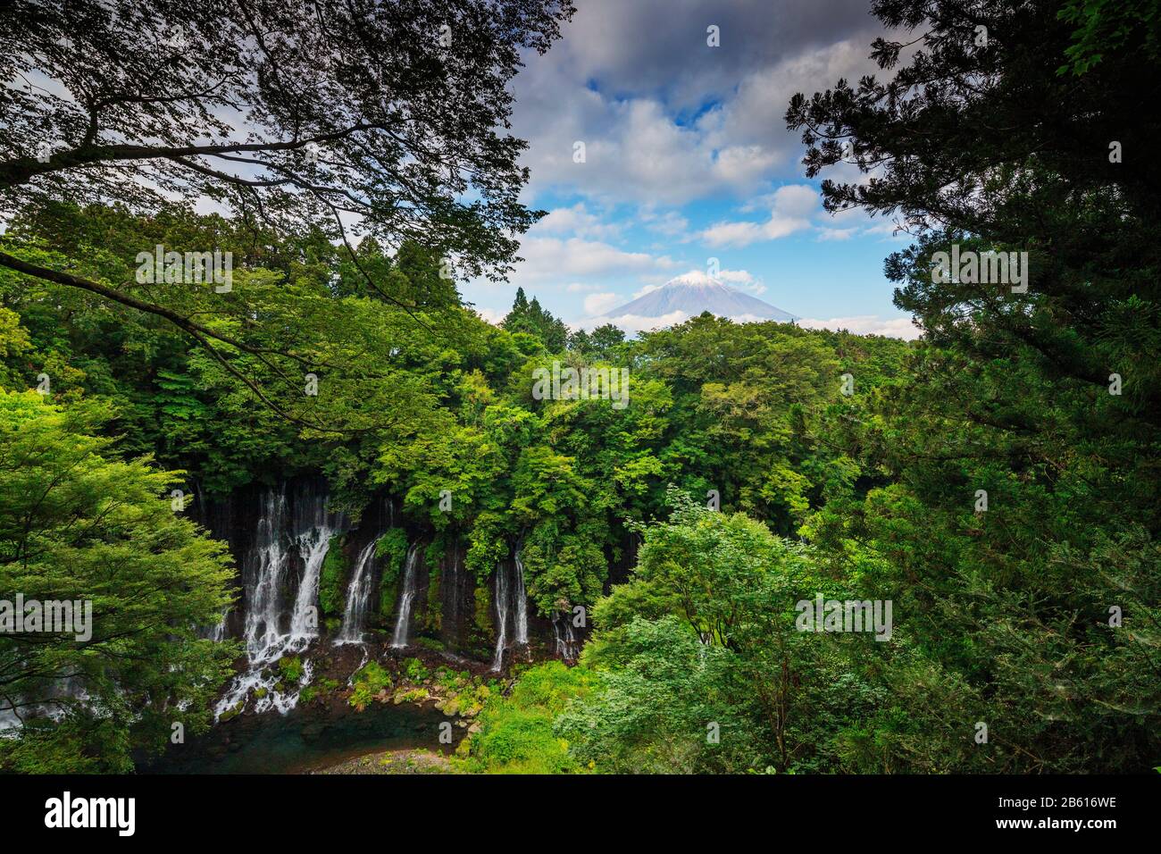 Japan, Honshu, Präfektur Shizuoka, Fuji-Hakone-Izu Nationalpark, Unesco-Stätte, Shiraito fällt Stockfoto