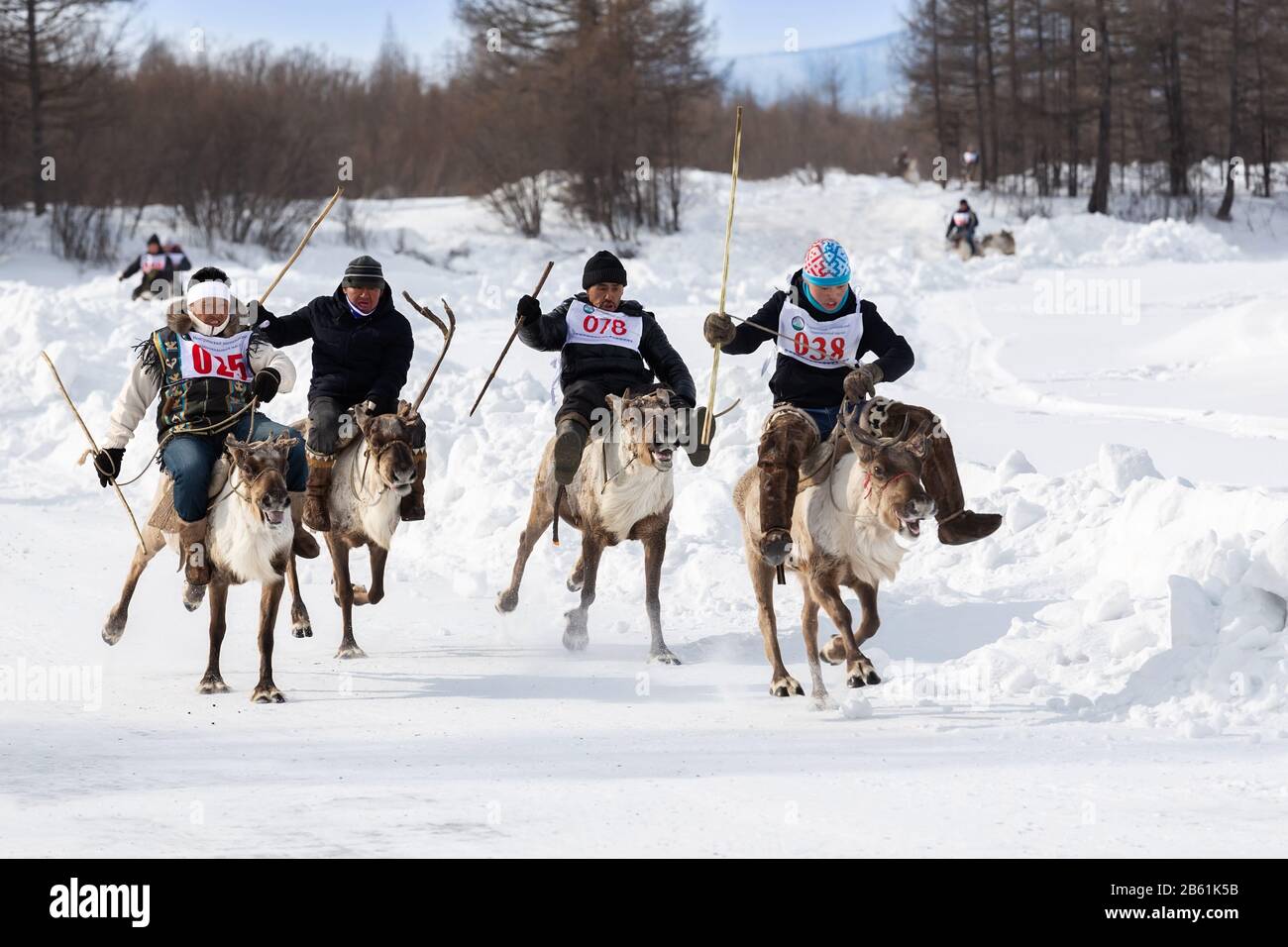 Iengra-Distrikt, Neryungri District, Yakutia, Russland. 7. März 2020 Rentiere auf der Feier der Rentierherden zu Rennen Stockfoto