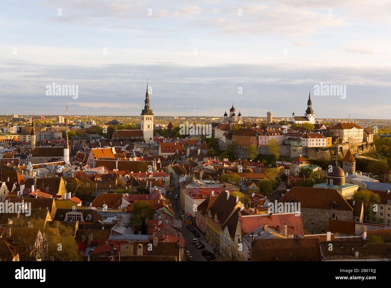TALLINN ESTLAND Stockfoto