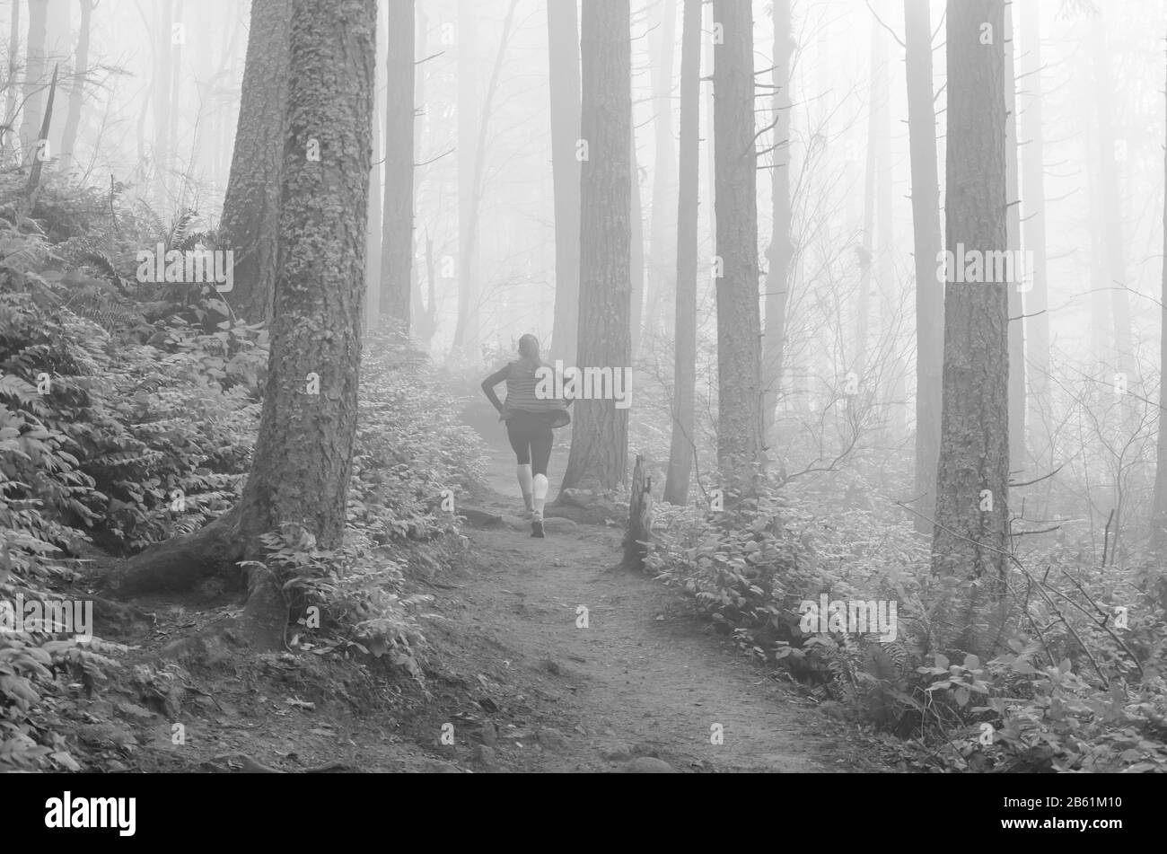 Gesunder Dame-Trekking-Foggy Poo Poo Point Trail in Washington, USA Stockfoto