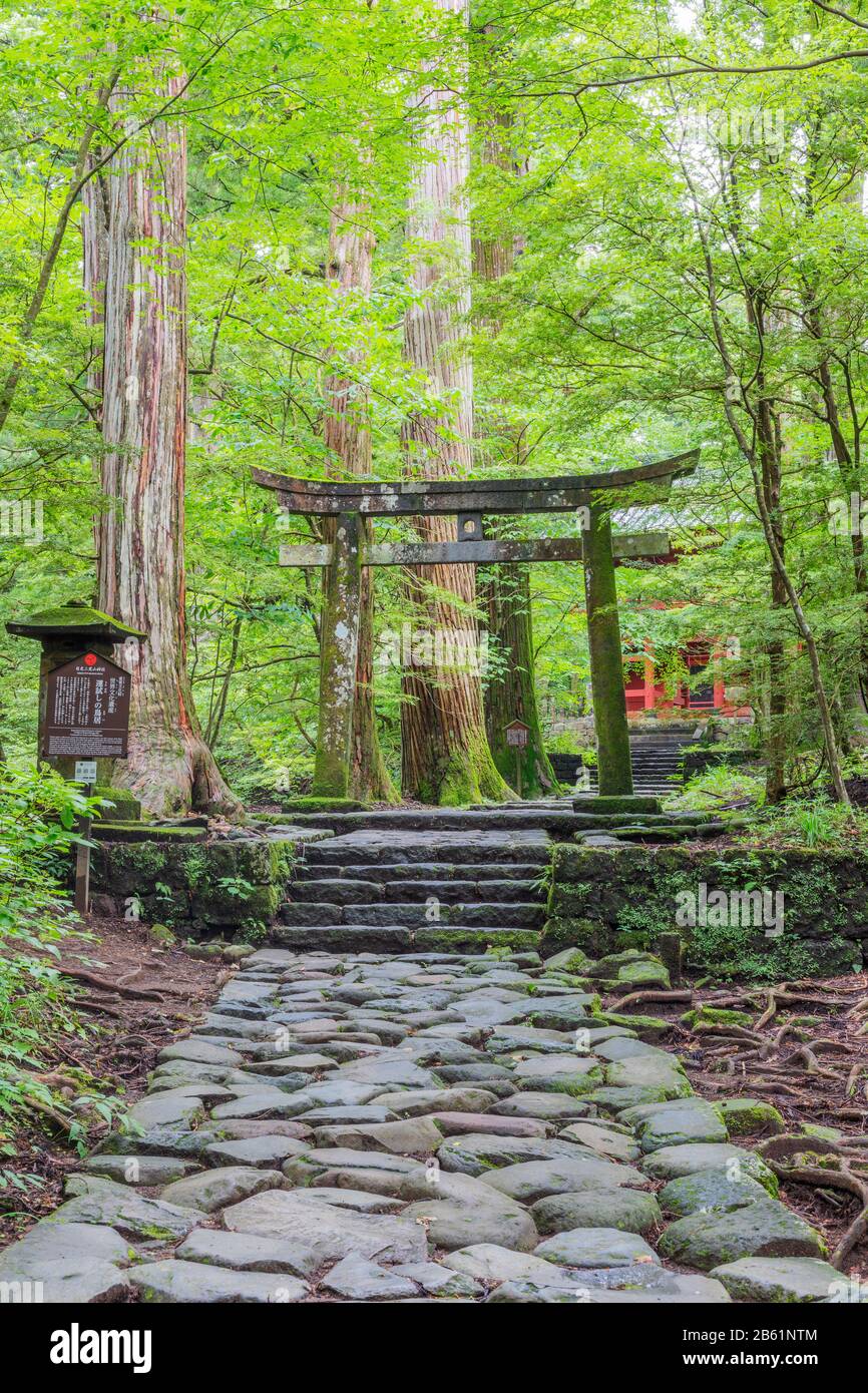 Japan, Honshu, Präfektur Tokigi, Nikko, Unesco-Stätte, Kitano-Schrein-Torii-Tor Stockfoto