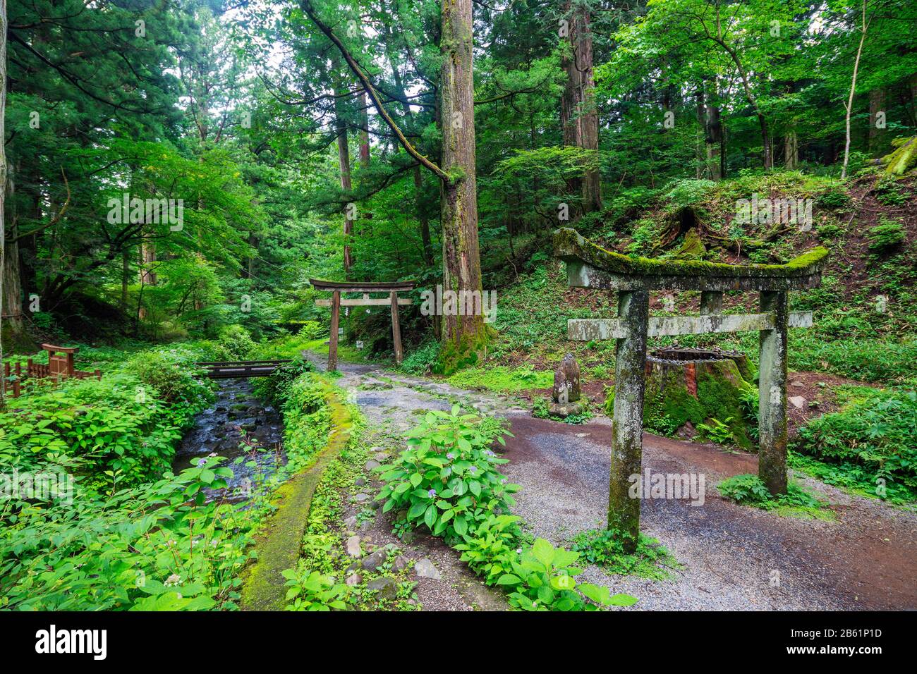 Japan, Honshu, Präfektur Tokigi, Nikko, Unesco-Stätte, Kitano-Schrein Stockfoto