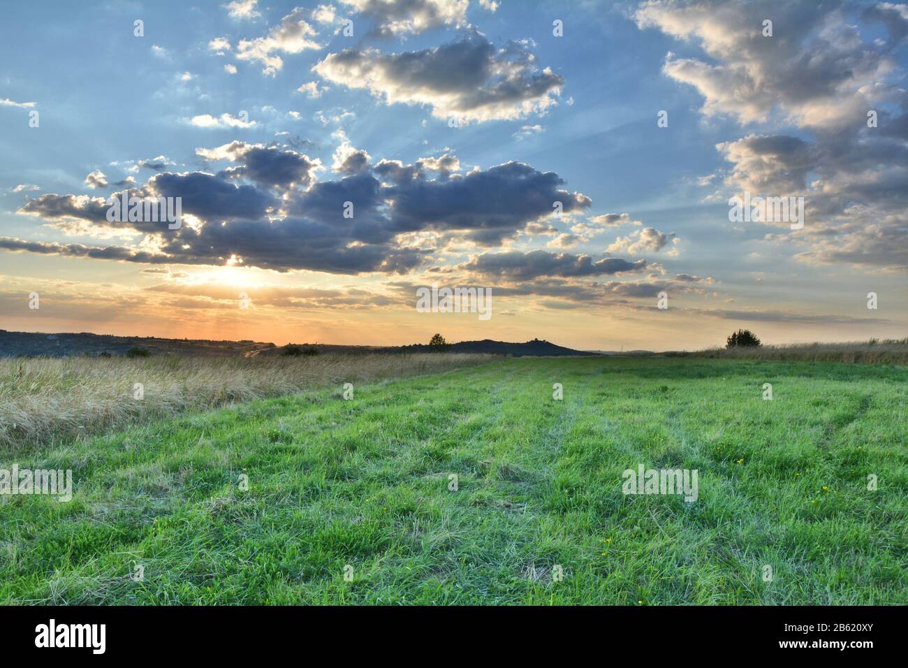 Malerische Sommerlandschaft von Grasland in Polen Stockfoto