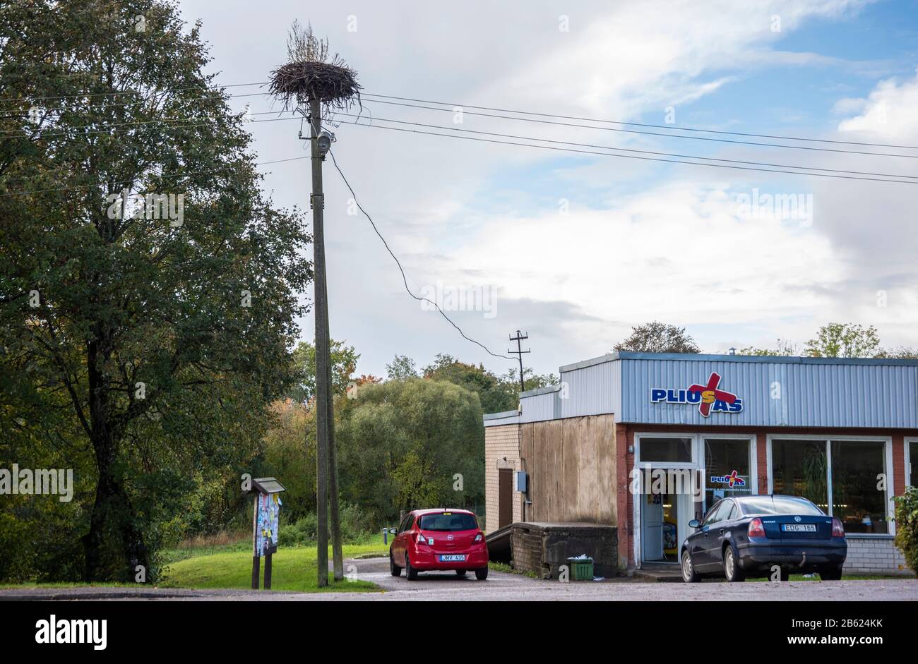 Storchennest Stockfoto
