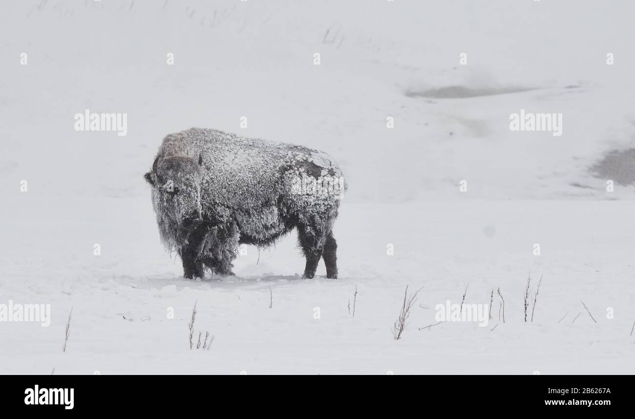 Schneit Stockfotos Und Bilder Kaufen Alamy
