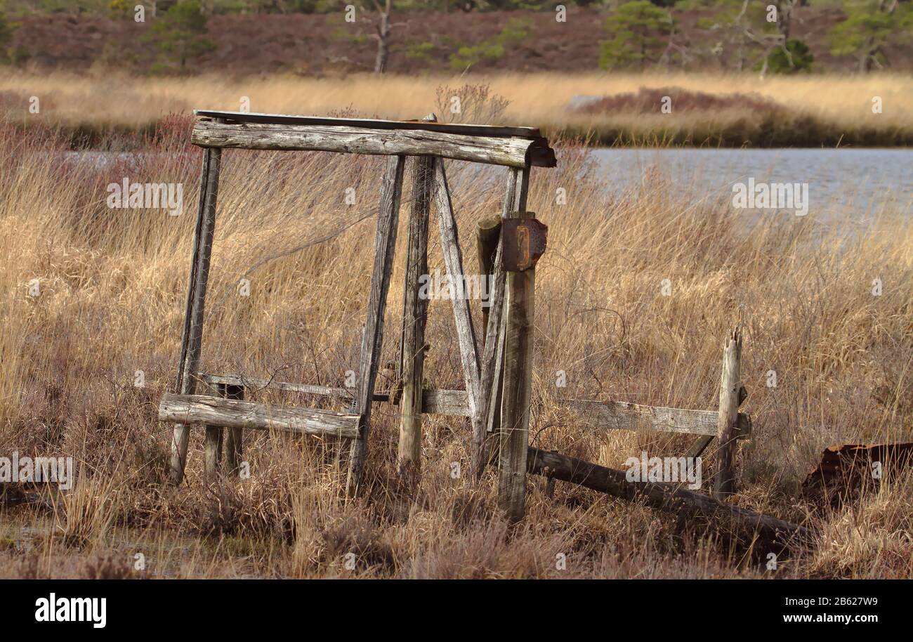 Ein Alter Verderbter, Eingestürzter Duck Hunters Hide On Boggy Land Mit Blick Auf Einen Verlassenen Duck Decoy Pond, mit dem Die Ducks belauscht wurden. Morden Bog UK Stockfoto