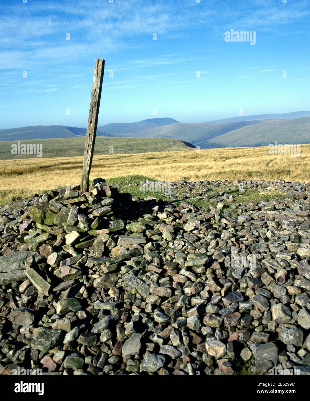 Blick auf Acroos Forest Fawr in Richtung, Fan Gyhirich und den Black Mountain, Brecon Beacons National Park, Wales. Stockfoto