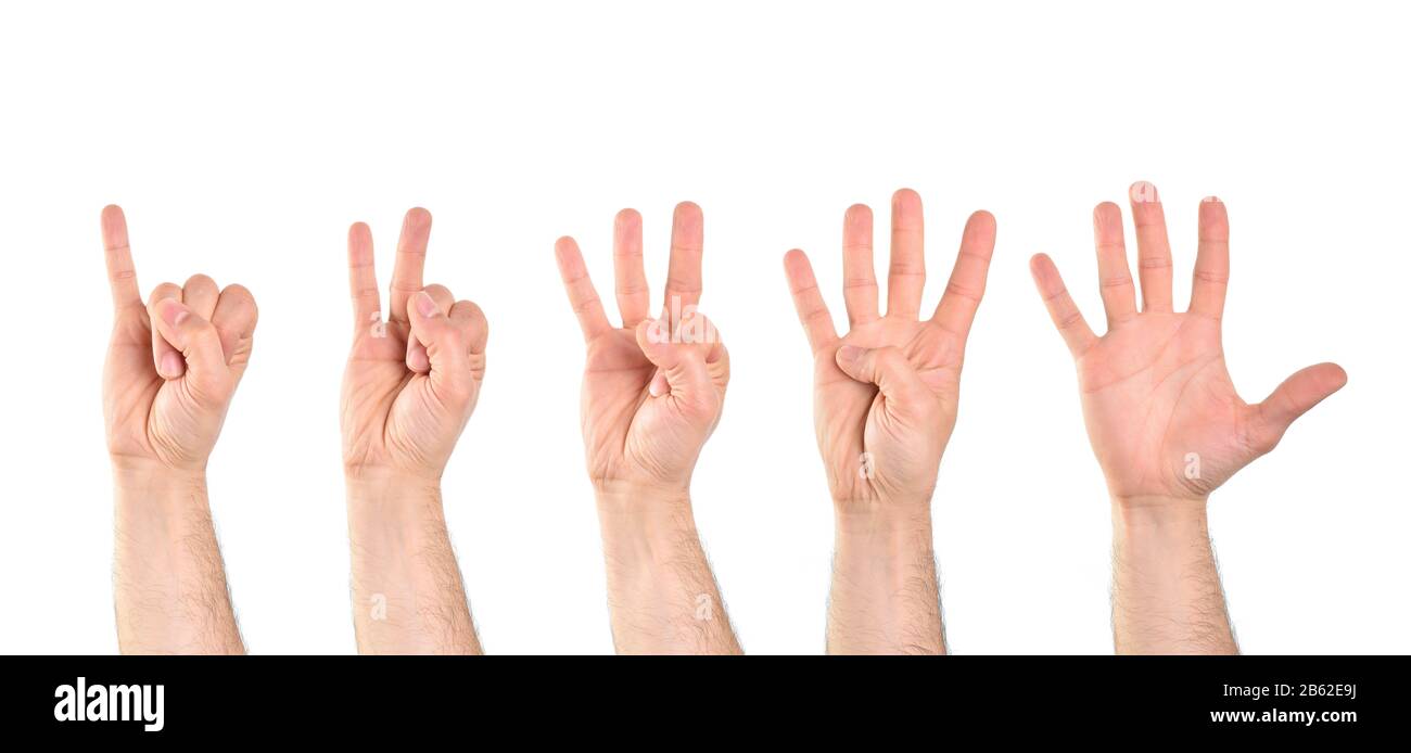 Zählen Sie bis zu fünf mit fünf Händen, beginnend mit dem kleinen Finger mit weiß isoliertem Hintergrund. Horizontale Zusammensetzung. Stockfoto