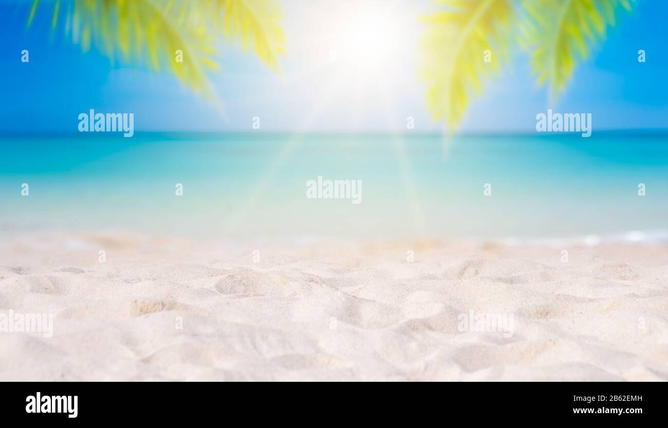 Sommer Urlaub weißen Sandstrand mit Platz für Text Kokosblättern Heckrahmen Meer energetische Stock anzeigen Stockfoto
