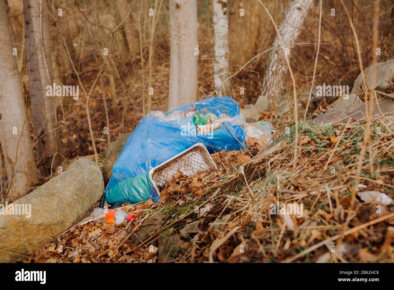 Müll im Konzept der Waldökologie Stockfoto