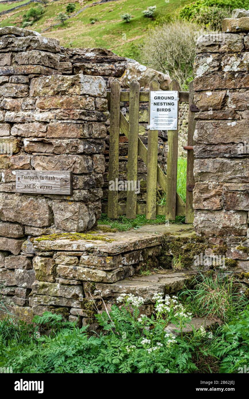 Steintreppen, die zu einem Stiel in einer Trockensteinmauer in Upper Swaledale, Yorkshire Dales National Park, England, Großbritannien führen Stockfoto