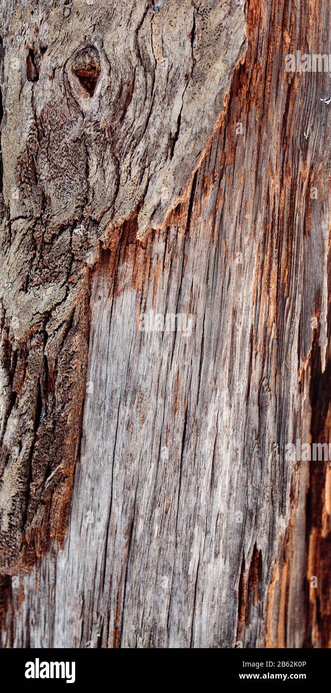 Struktur aus altem Holz mit einer beträchtlichen Menge von Rissen Stockfoto