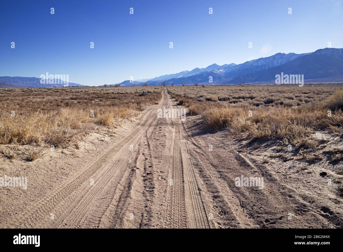 Dirt Track mit Reifenspuren im Owens Valley in Richtung Süden Stockfoto