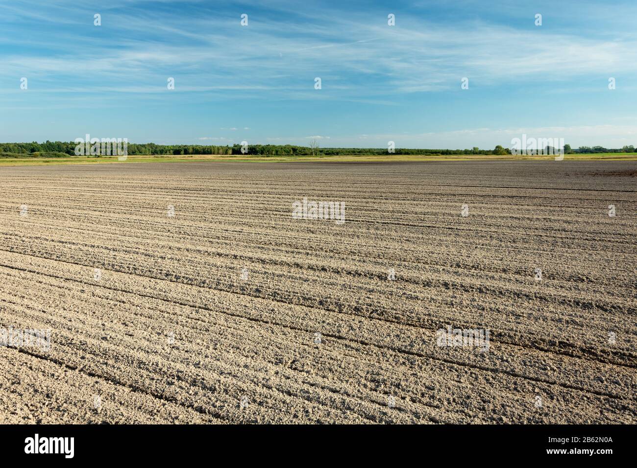 Riesiges gepflügt Feld, Horizont und blauer Himmel Stockfoto