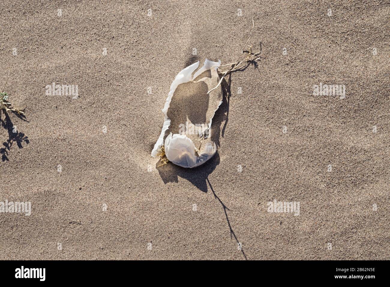 Kunststoff-Müll, der durch Sonnenlicht in der Wüste zerbrochen wird Stockfoto