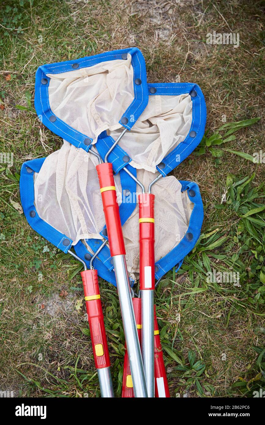 Angelernten Für Die Erkundung Des Teichs Im Outdoor Activity Center Der Kinder Stockfoto