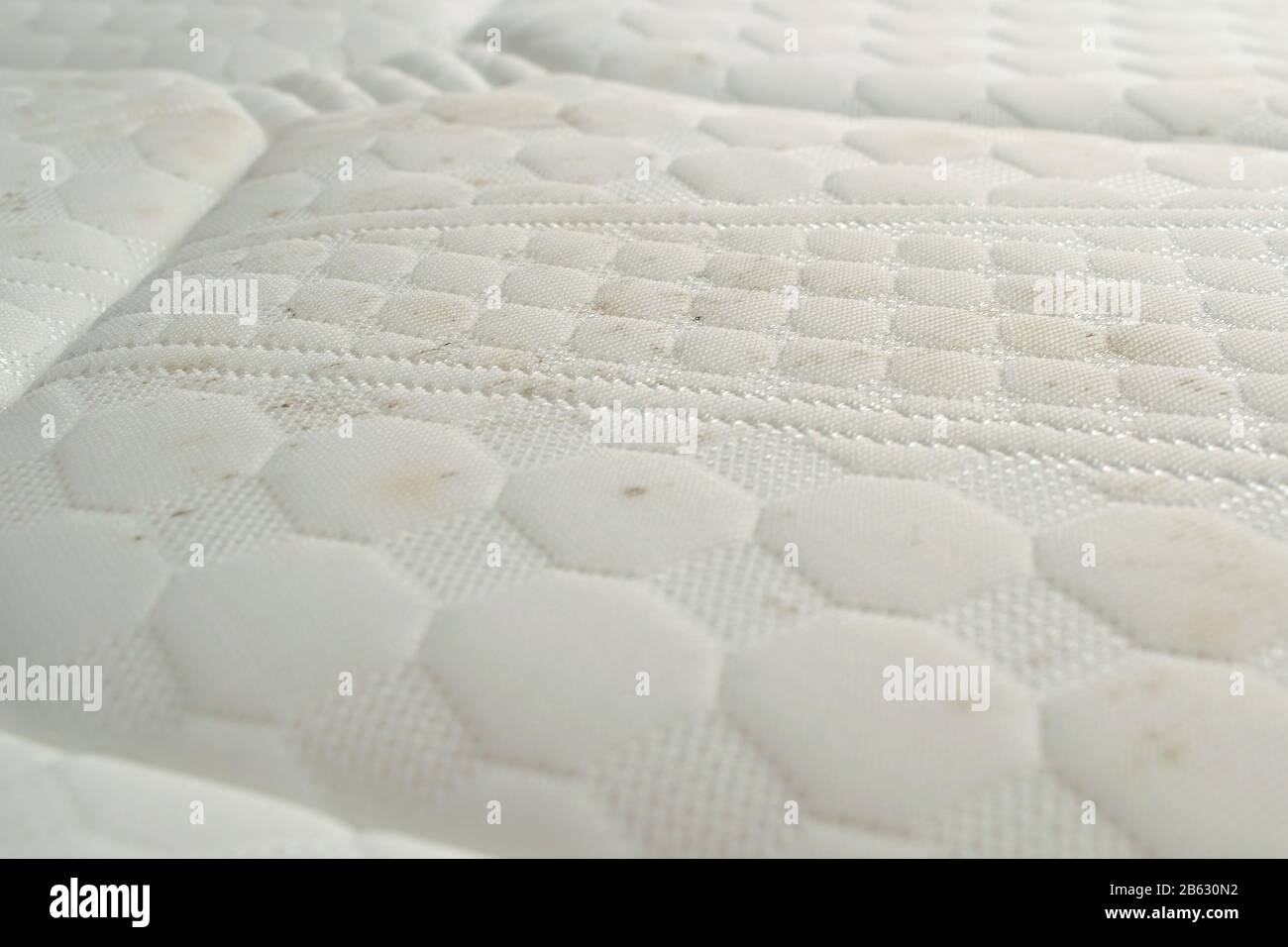 Schimmel Sporen Stockfotos Und Bilder Kaufen Alamy
