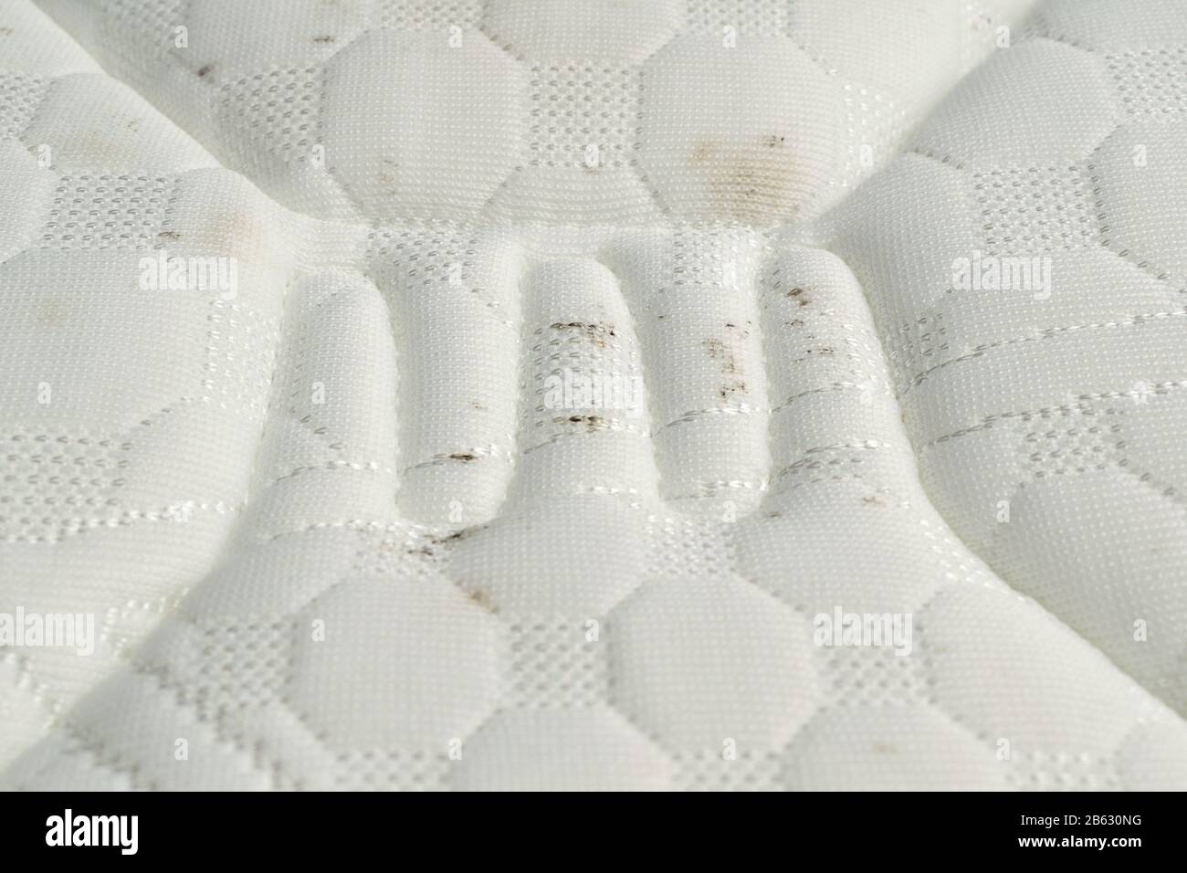 Schimmel auf einer Matratze. Schwarze Flecken auf weißem Stoff  Stockfotografie - Alamy