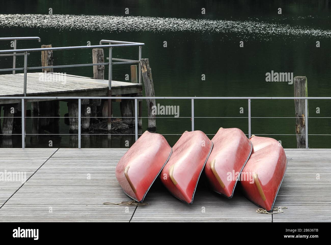 Rote Kanus am Dieksee in Malente, Deutschland. Stockfoto