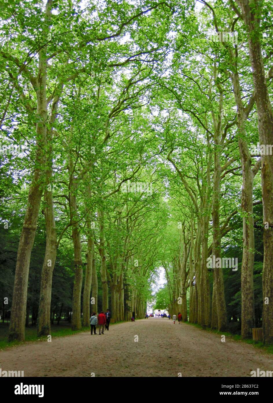 Chateau de Chenonceau ist eines der meistfotografierten und meistbesuchten Schlösser in Frankreich für seine Architektur, Innenräume, Kunstwerke und den Garten. Stockfoto