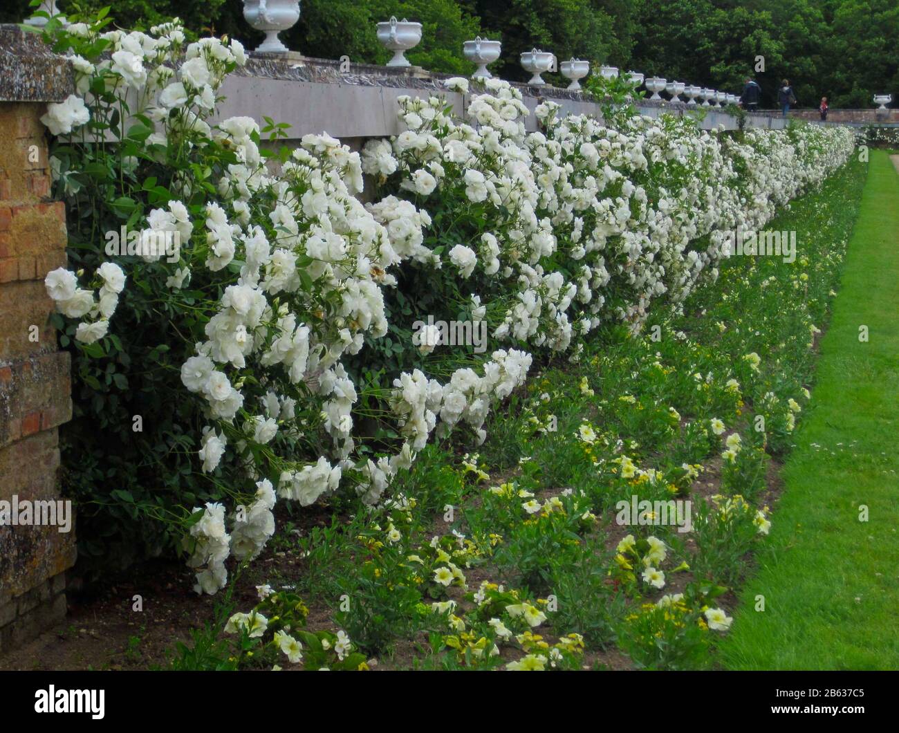 Chateau de Chenonceau ist eines der meistfotografierten und meistbesuchten Schlösser in Frankreich für seine Architektur, Innenräume, Kunstwerke und den Garten. Stockfoto