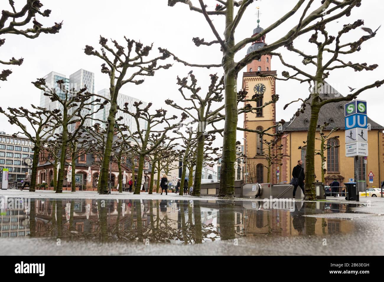 Frankfurter Hauptwache Plaza und Platanen im Winter, Frankfurt, Deutschland Stockfoto