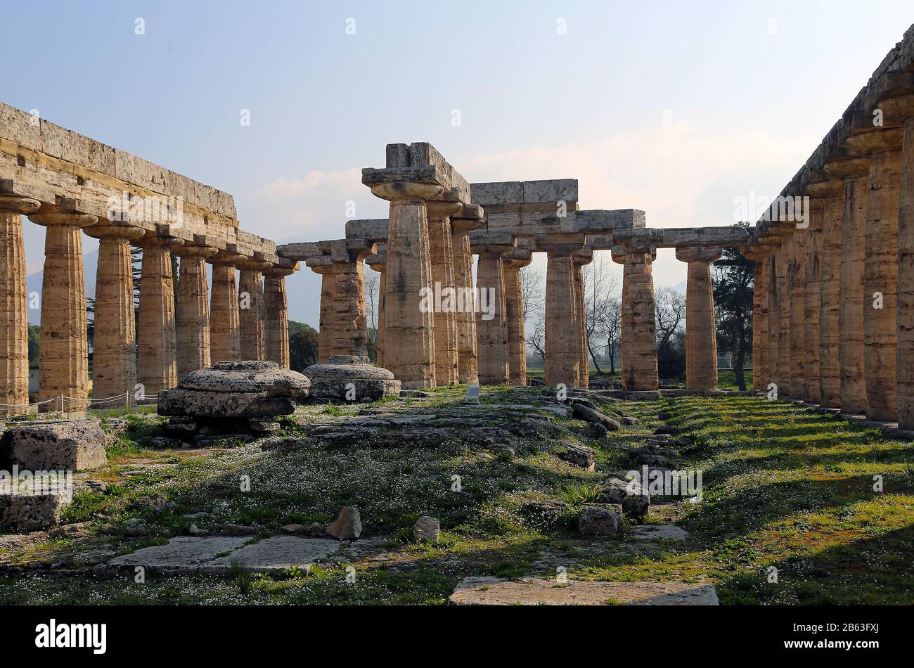 Der frühe Tempel von Hera, die so genannte Basilika (550 v. Chr.). Hervorragende Beispiele für Entasis in klassischen griechischen Tempeln. Archäologische Stätte von Paestum, Italien Stockfoto