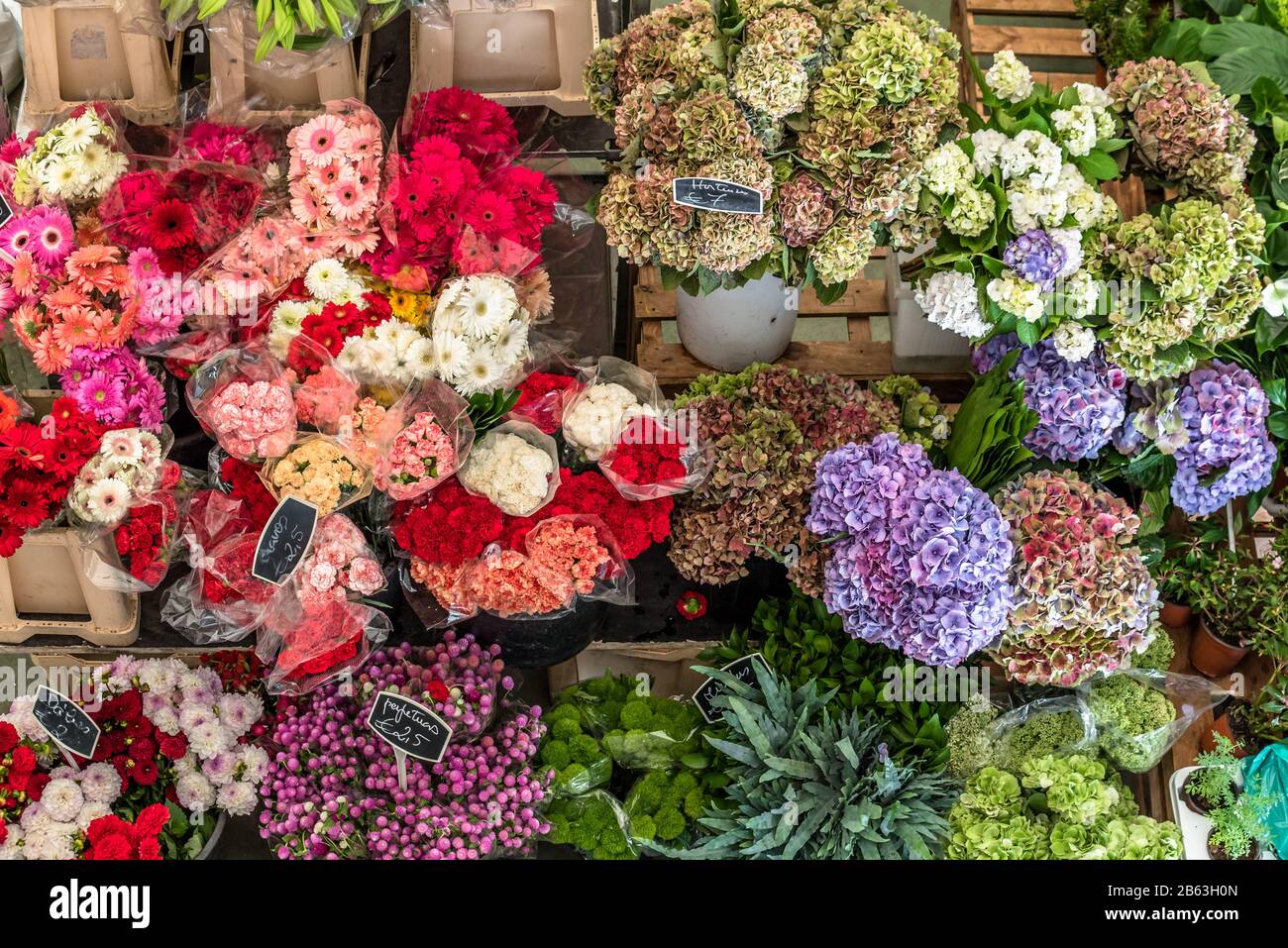 Bunte bunte Blumen in Eimern und Vasen auf dem Markt in Cascais Portugal Stockfoto