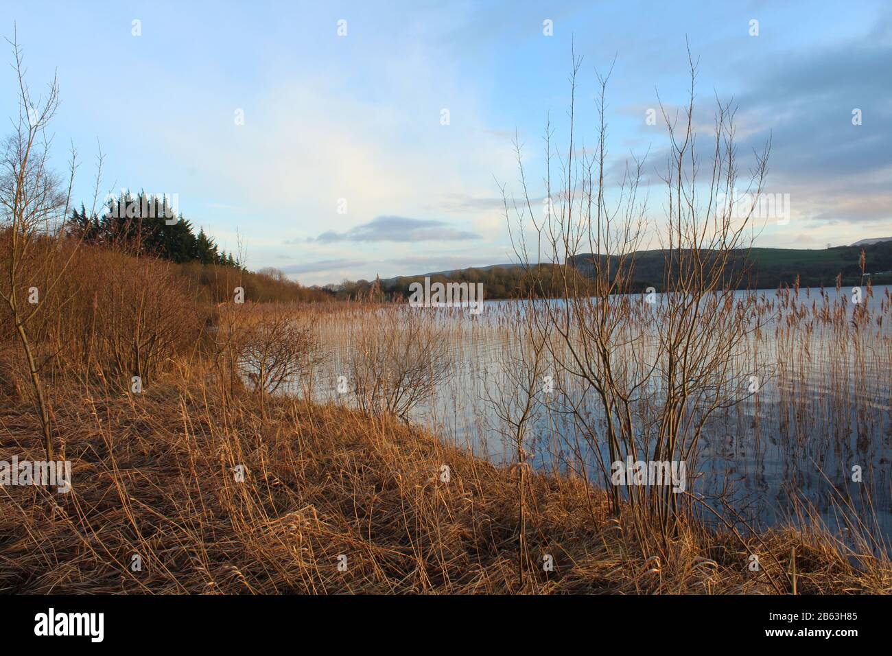 Lough Macnean Upper, County Fermanagh, Nordirland Stockfoto