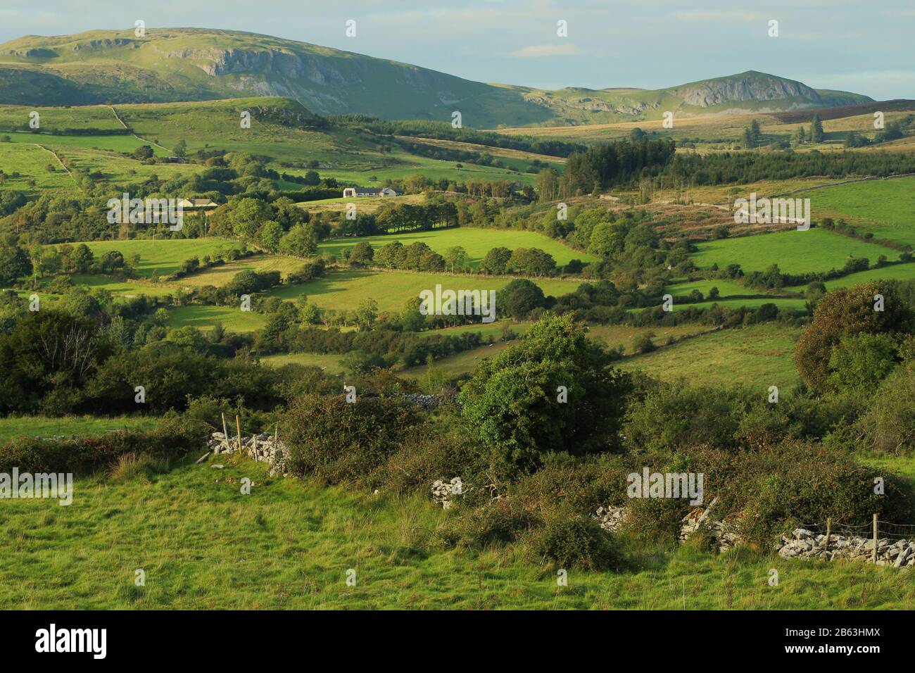 Die Landschaft der Rolling Hills in Calry, County Sligo, Irland Stockfoto