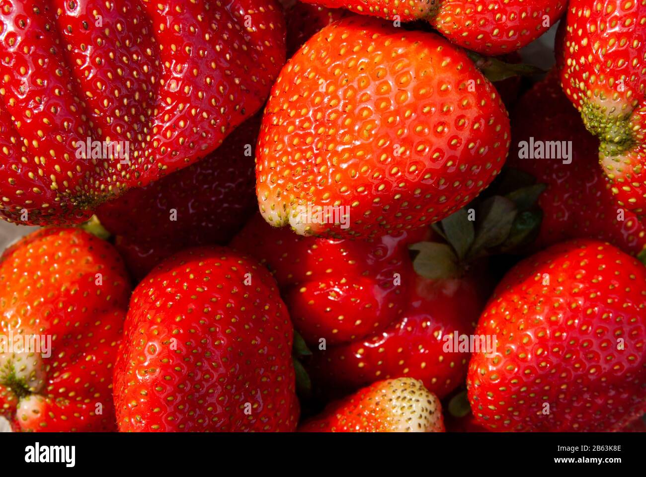 Frische saftige Erdbeeren Stockfoto