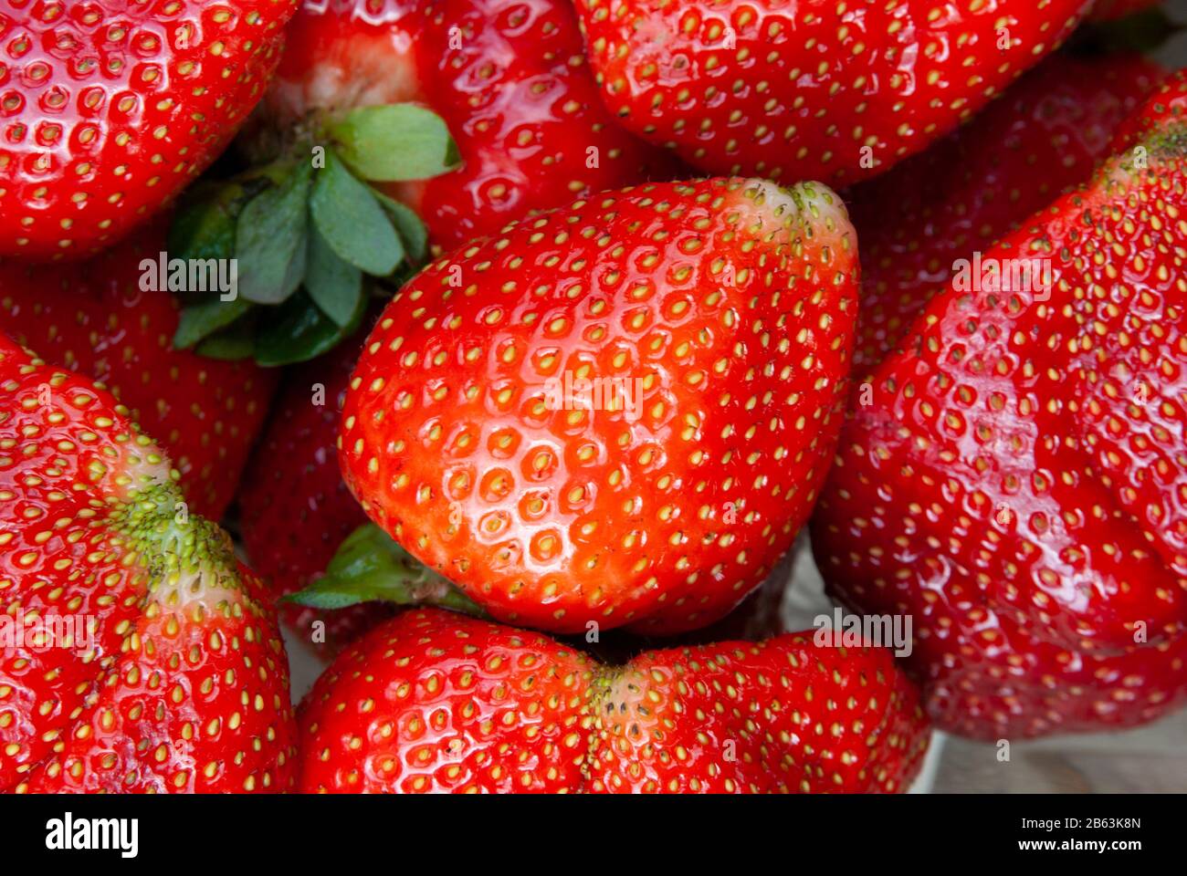 Große saftige Erdbeeren Stockfoto