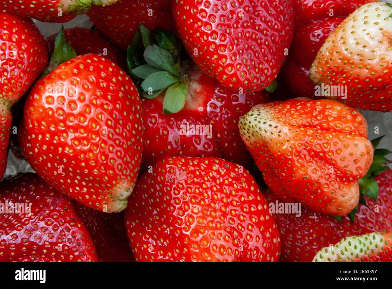 Erdbeeren frisch Stockfoto
