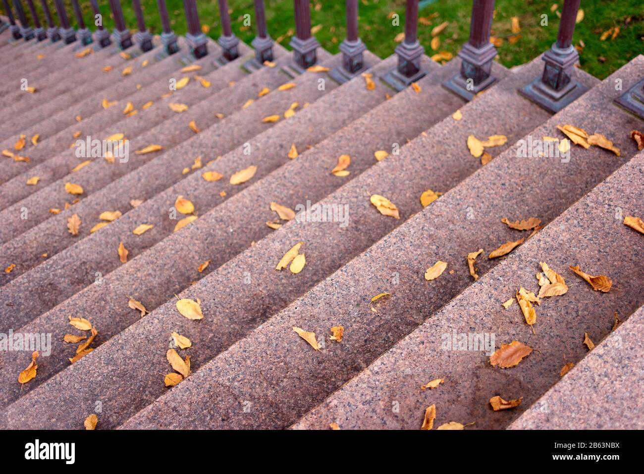 Schließen Sie die Treppe aus Granit mit gestürzten gelben Blättern. Stockfoto