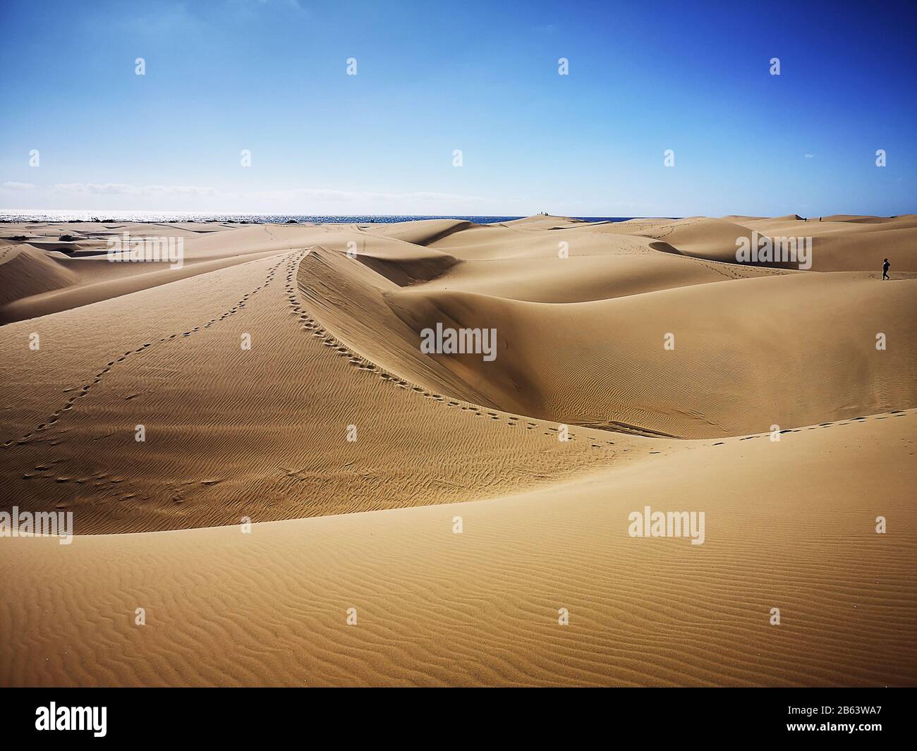 Naturreservat Dunes of Maspalomas auf Gran Canaria, Spanien Stockfoto