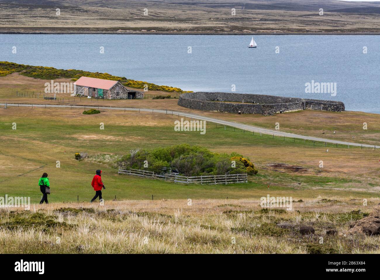 Die Siedlung Darwin in Ostfalkland, Falklandinseln. Stockfoto