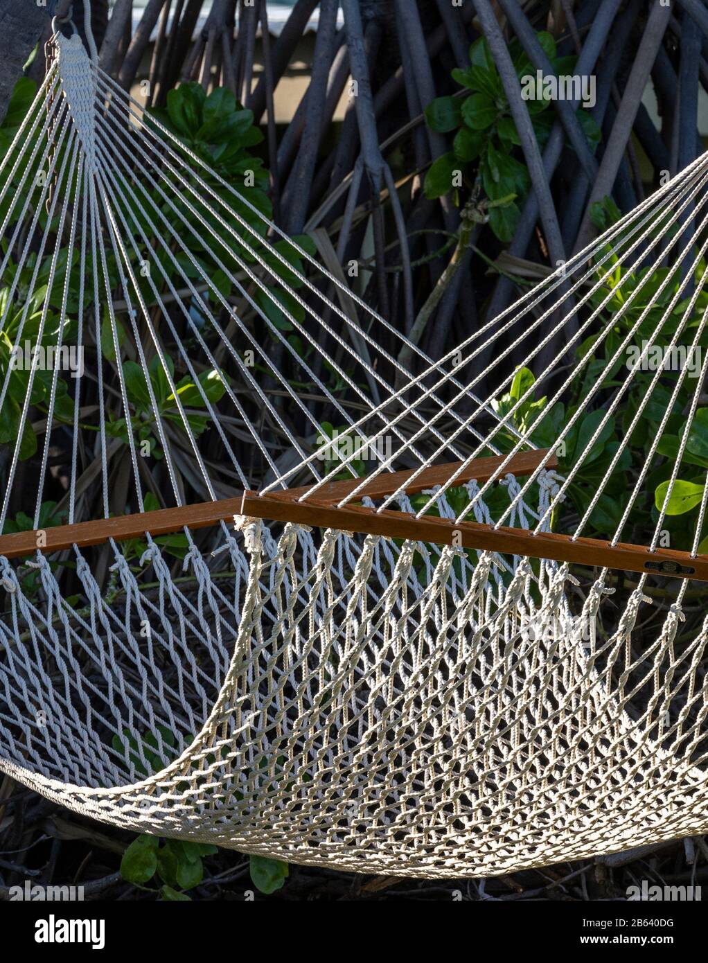 Seil Hammock, Puako, Big Island, Hawaii Stockfoto